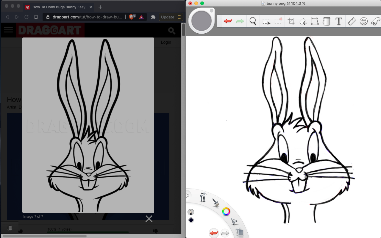 Bunny Comparison